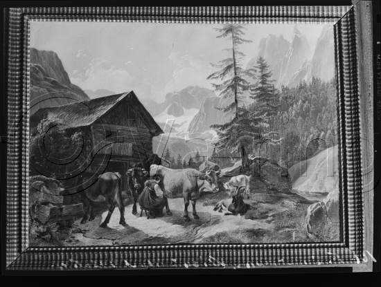 I fotoeske med tittel M. Reuch