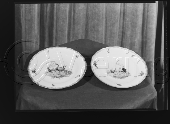 I fotoeske med tittel M. Reuch