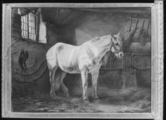 I fotoeske med tekst M. Reuch