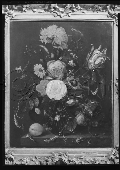 I fotoeske med tekst M. Reuch