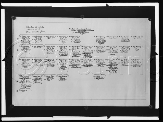 I fotoeske med Segelcke familie portretter etc.