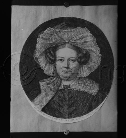 I fotoeske med Segelcke familie portretter etc.