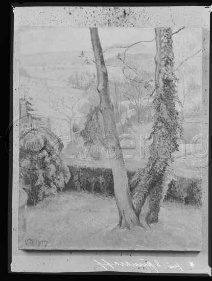 i fotoeske med privat samling