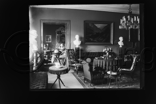 Glassplate negativer