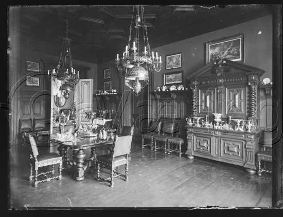 Glassplate negativer