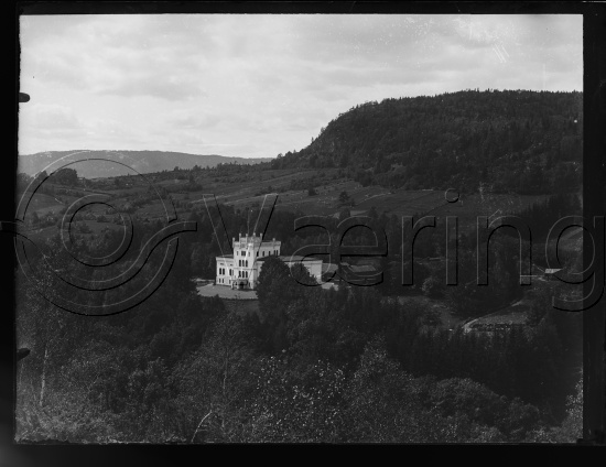 Glassplate negativer