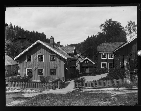 Glassplate negativer