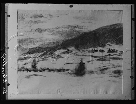 Glassplate negativ film