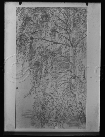 Glassplate negativ film