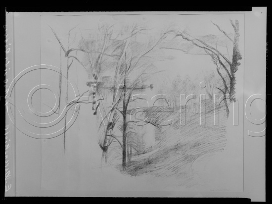 Glassplate negativ film