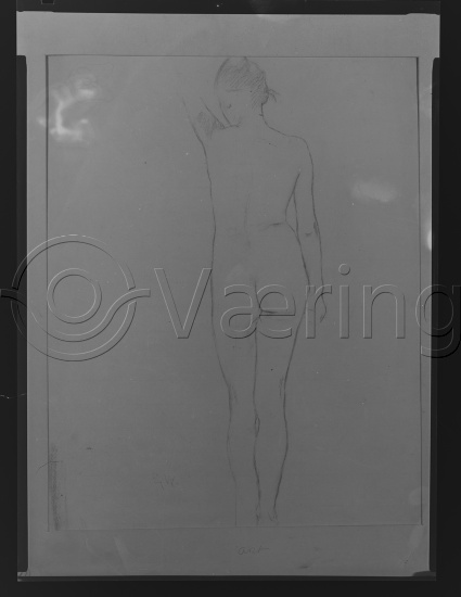 Glassplate negativ film