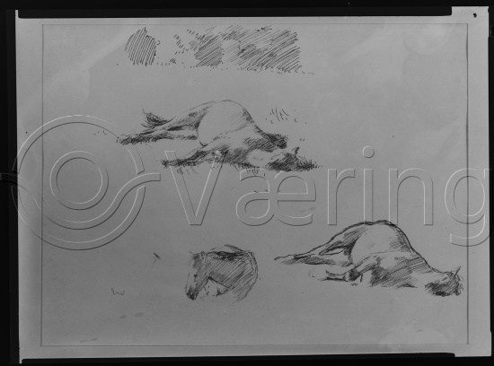 Glassplate negativ film