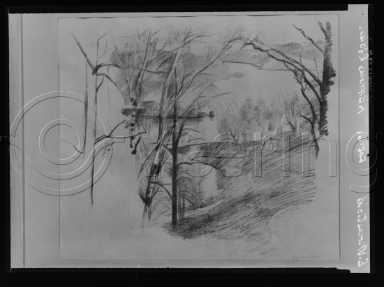 Glassplate negativ film
