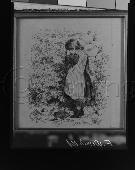 Glassplate - negativ film