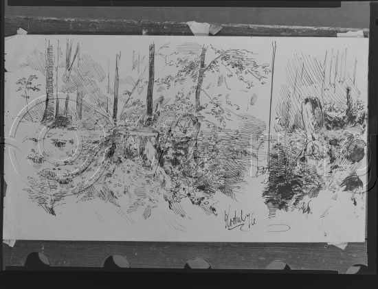 Glassplate - negativ film