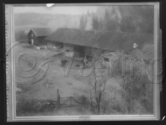 Glassplate og negativ film