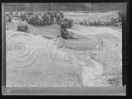 Glassplate og negativ film