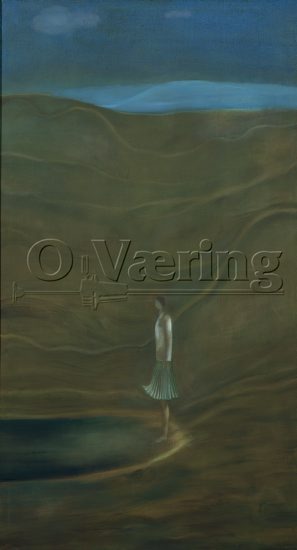 Liv Ørnvall (1947 - )
Size: 180x100 cm
Location: Private
Photo: O.Vaering/PHP